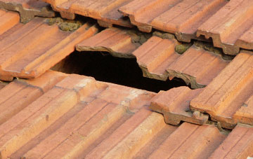 roof repair Haddiscoe, Norfolk